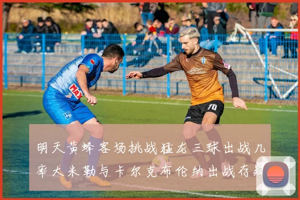 明天黄蜂客场挑战猛龙三球出战几率大米勒与卡尔克布伦纳出战存疑